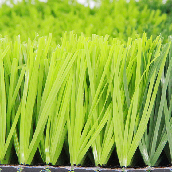 足球場(chǎng)專用草坪